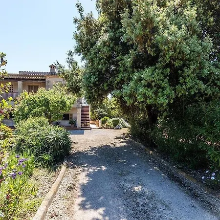 Panada Villa Pollenca